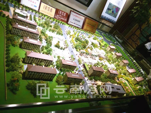 实力玖如堂最新动态深度解析与观点阐述