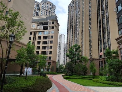 承平盛世四期最新图片展示，变化、学习与自信的力量