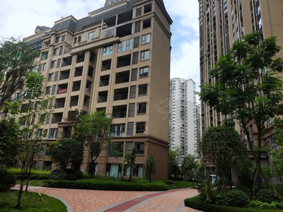 承平盛世四期最新图片展示，变化、学习与自信的力量