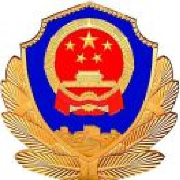 城步县公安局最新动态及观点论述揭秘