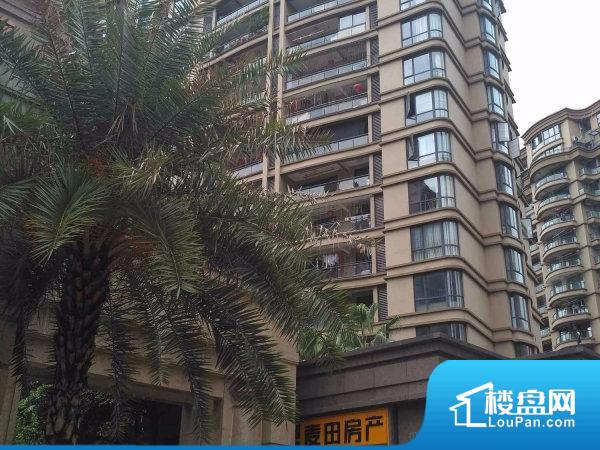 金坛岸头家园小区最新房价，投资热点与趋势分析揭秘！
