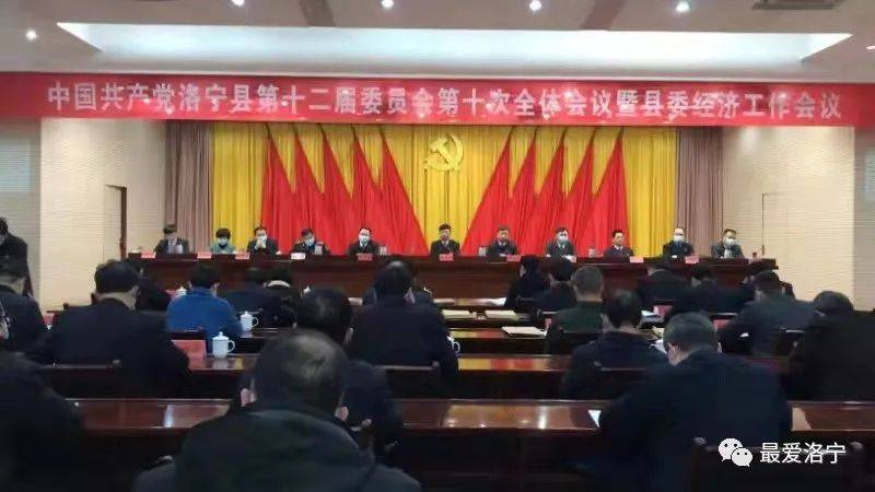 洛宁戴耀武最新消息与观点论述汇总