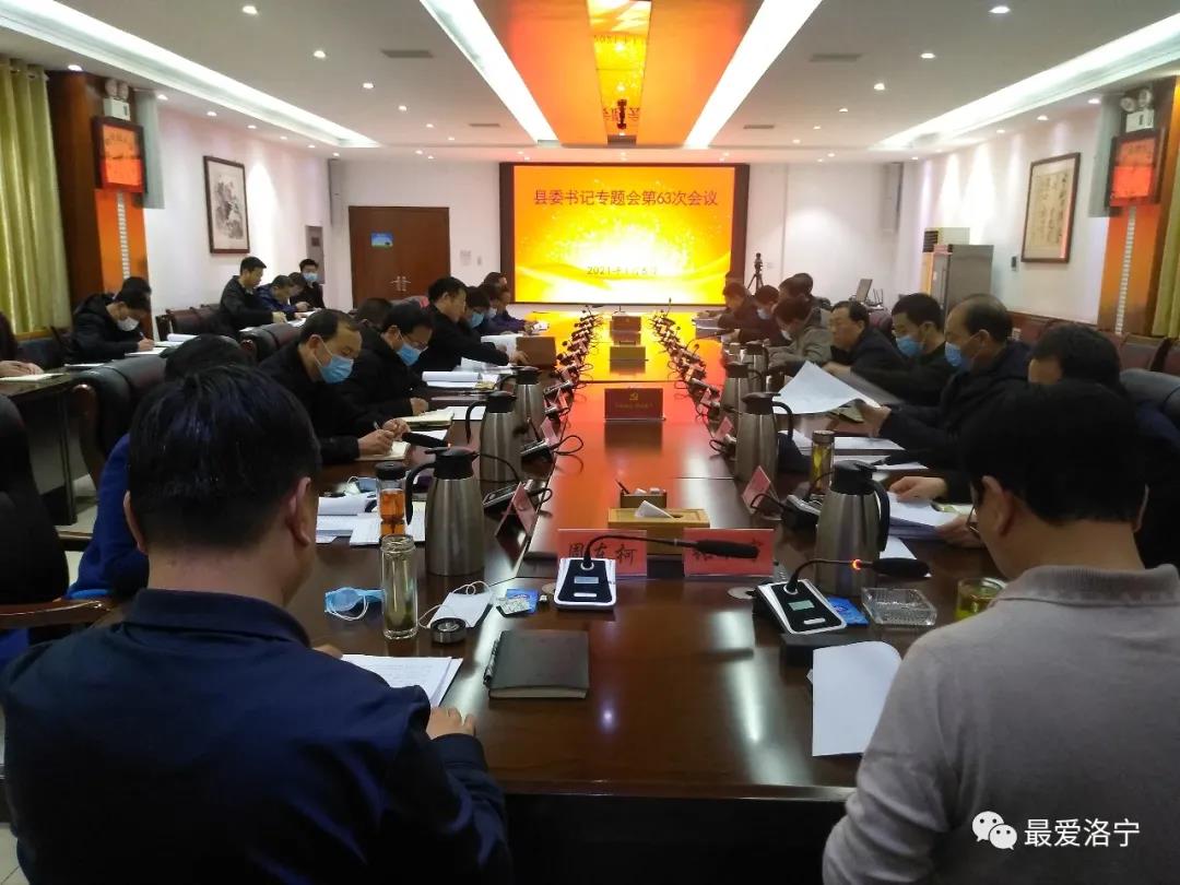 洛宁戴耀武最新消息与观点论述汇总