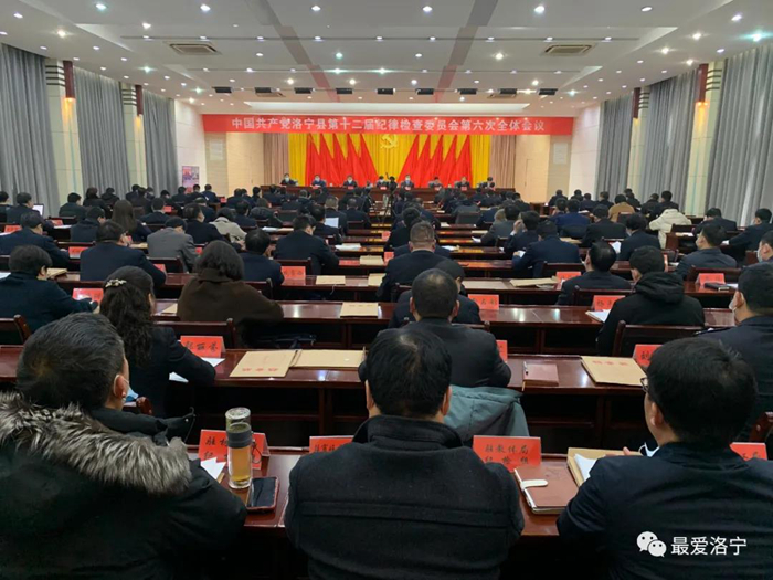 洛宁戴耀武最新消息与观点论述汇总