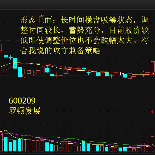 罗顿发展最新动态全面解析，指南与步骤一览