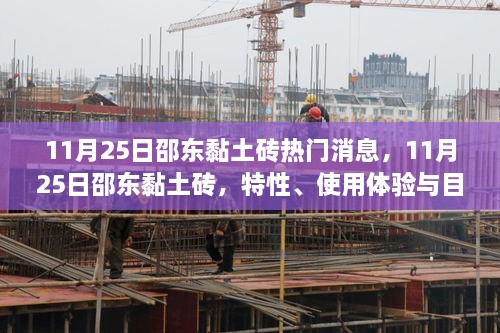 邵东黏土砖最新消息,邵东黏土砖最新消息，小巷深处的砖艺瑰宝
