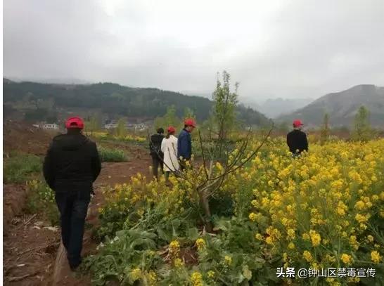 钟山区大湾镇，风景变迁与学习力量的最新图片展现