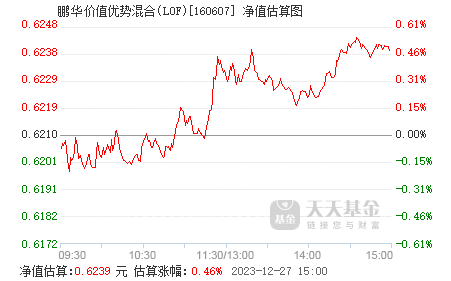鹏华价值基金净值最新动态，探索特色小店的宝藏之路