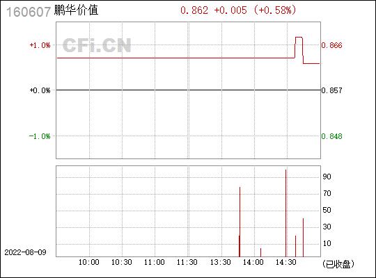 鹏华价值基金净值最新动态，探索特色小店的宝藏之路
