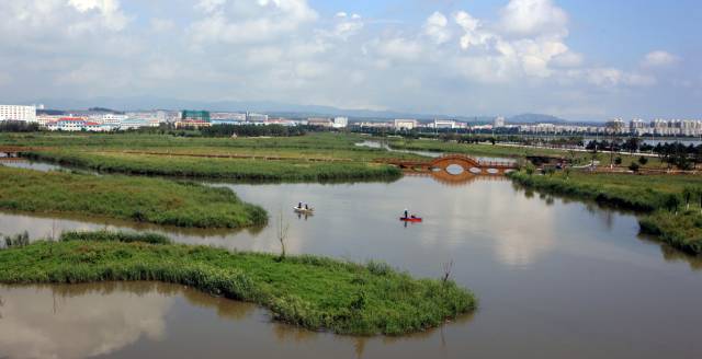 凉湾湿地公园，生态建设的最新进展与面临的挑战