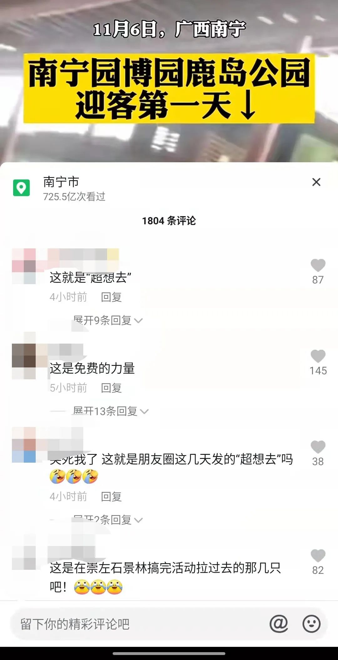 南宁园搏园最新动态，自然之旅的启程，探索内心平静的奇妙旅程