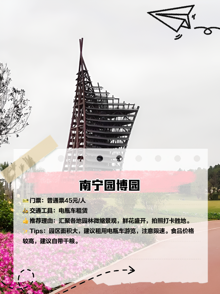 南宁园搏园最新动态，自然之旅的启程，探索内心平静的奇妙旅程