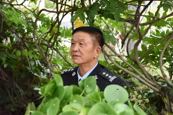 协警改革最新动态与自然美景之旅，探寻内心的宁静平和之道