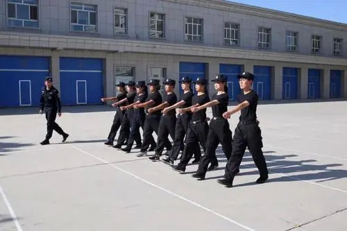 重庆辅警改革新进展，变化、学习与成长的交响曲