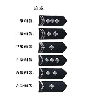重庆辅警改革新进展，变化、学习与成长的交响曲