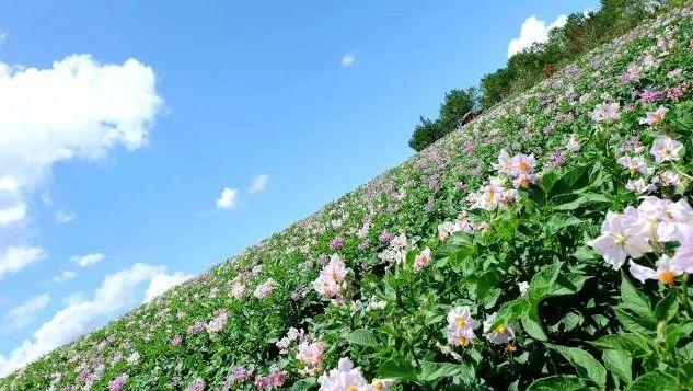 蕲太安高速最新动态更新，最新消息汇总