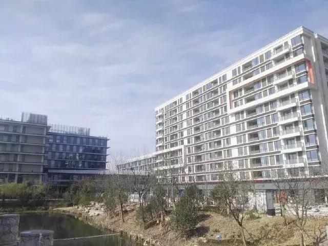 余杭土地出让最新动态更新，最新余杭土地转让消息