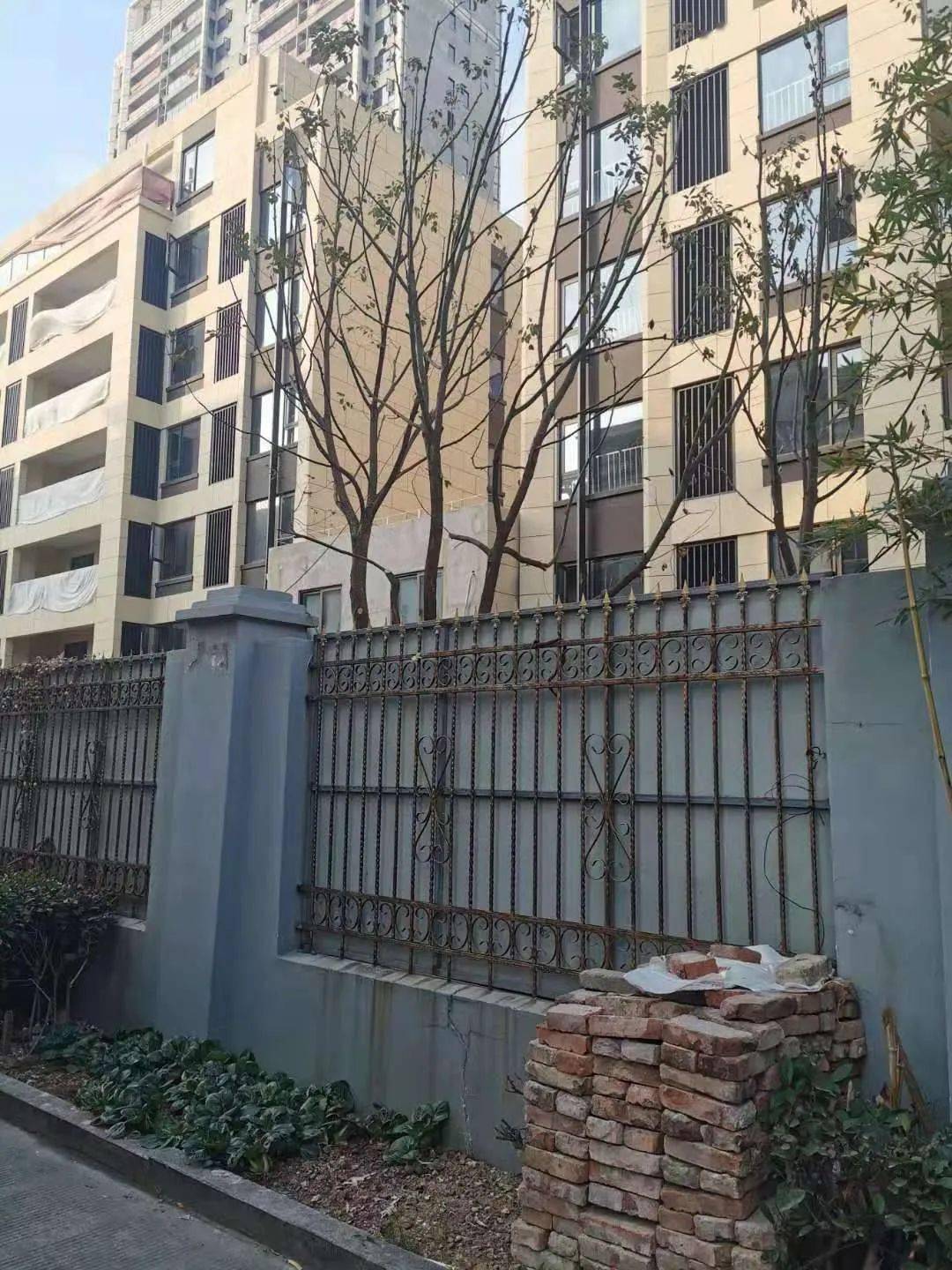 鸡西涌新小区，蜕变中的希望与力量——最新消息速递