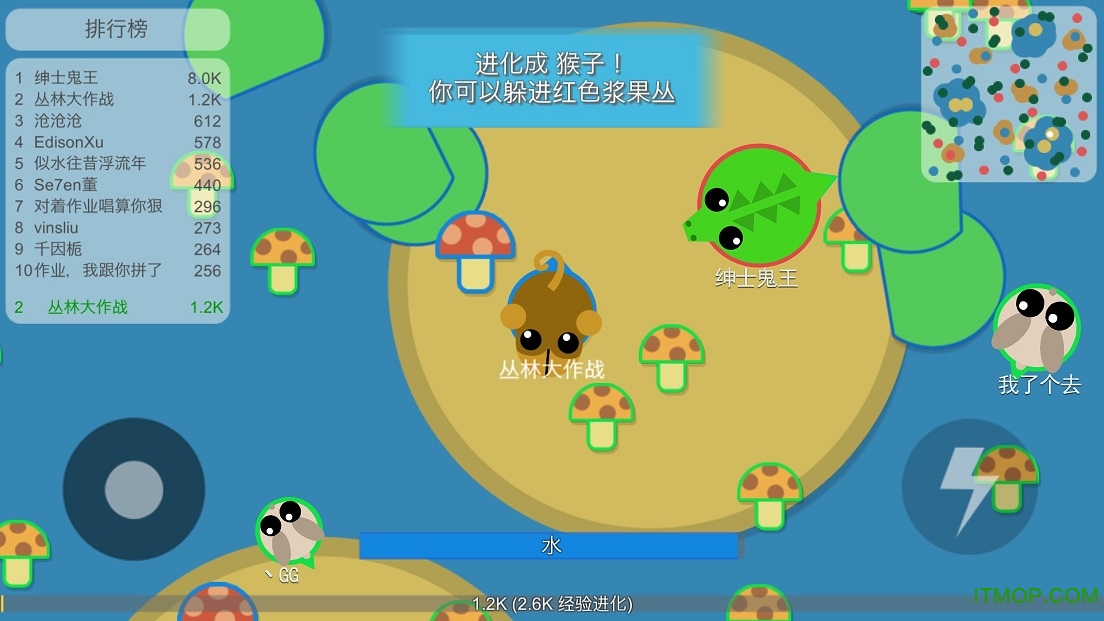 丛林大作战最新版下载，探索自然美景，寻找内心平和宁静的旅程