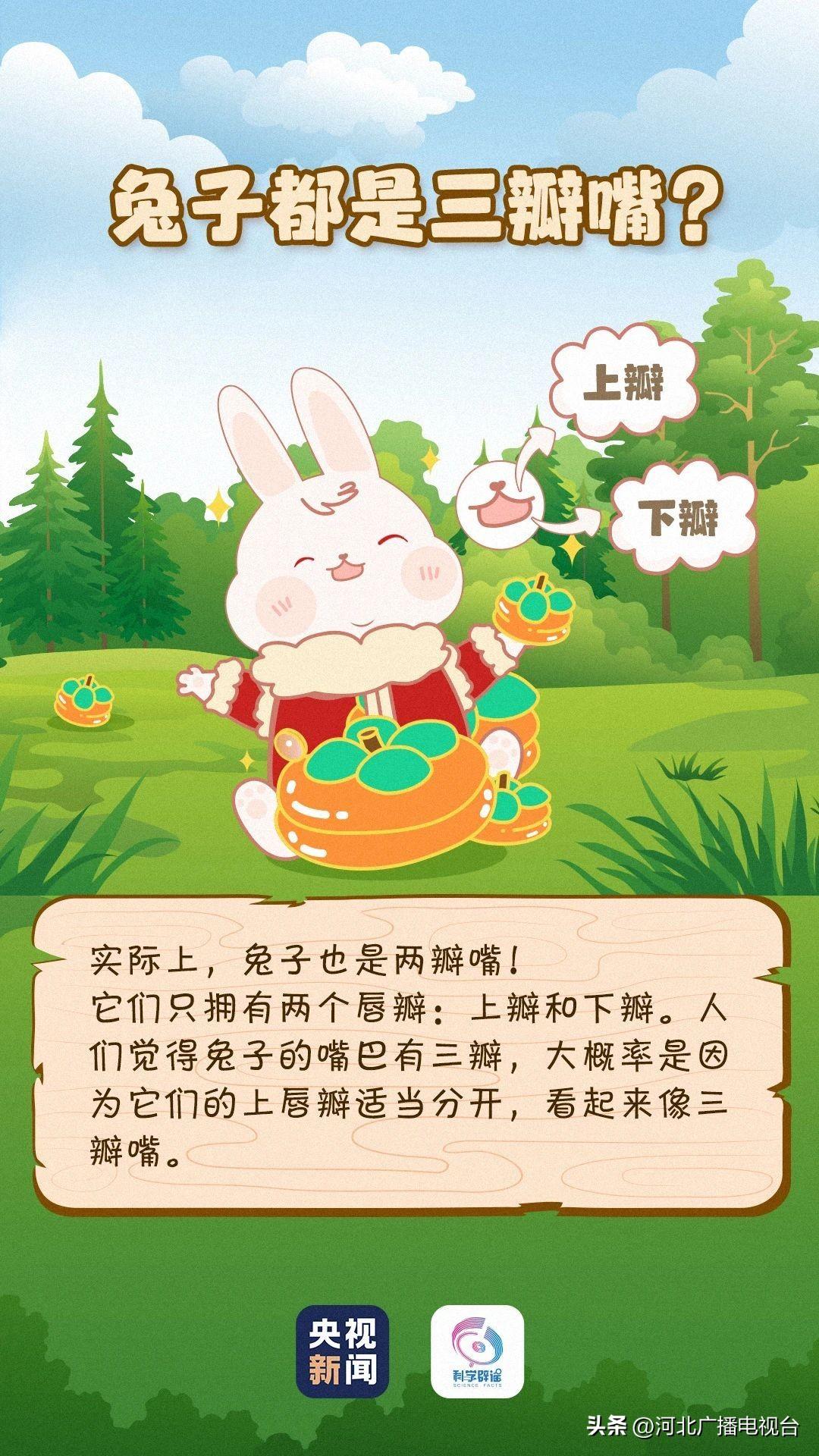 最新脑筋急转弯下载,最新脑筋急转弯下载，一场智力与乐趣的碰撞