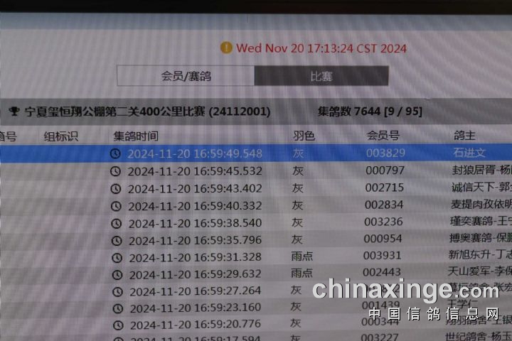 恒翔赛鸽公棚最新公告，赛事动态、未来展望揭秘