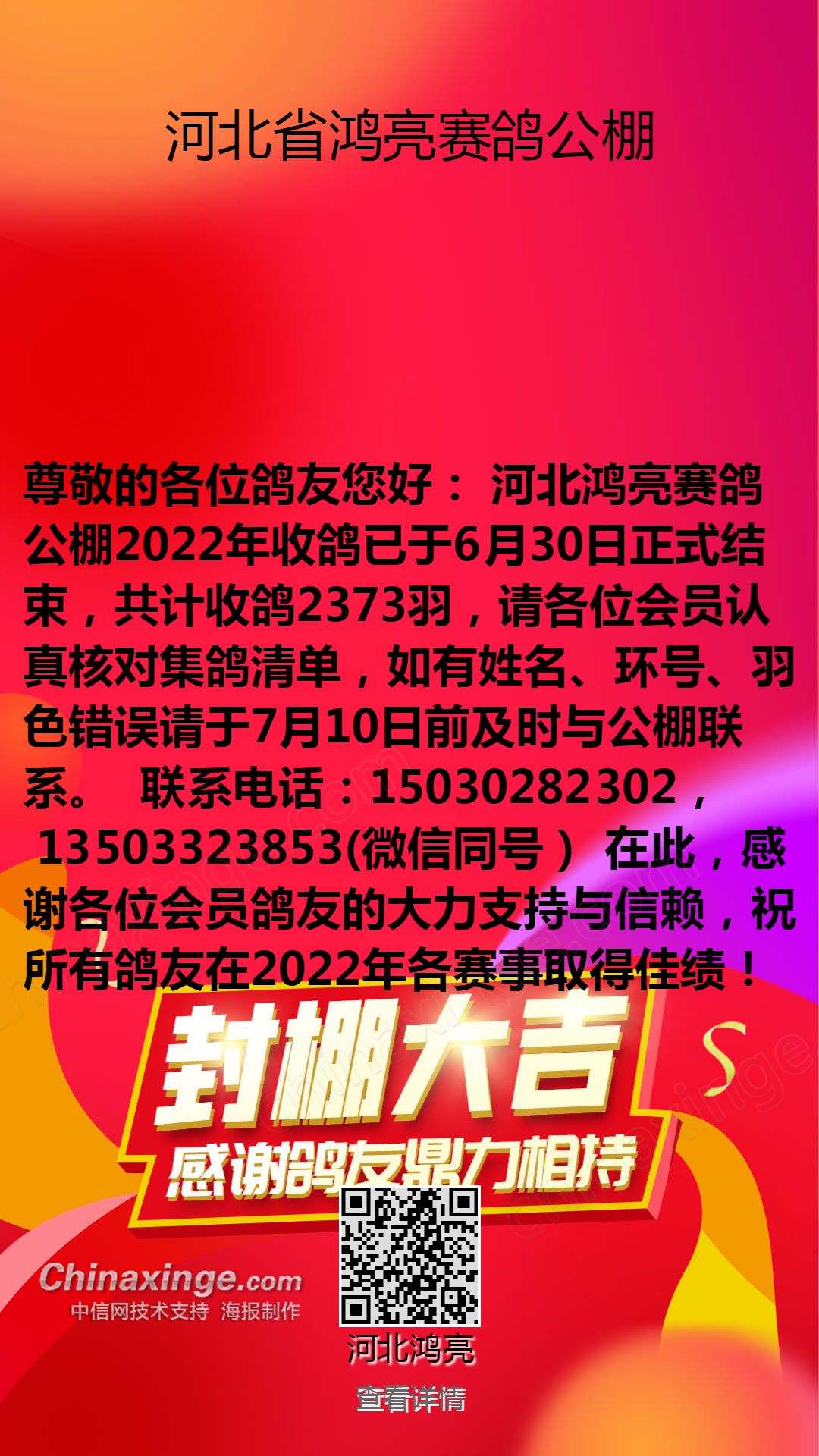 恒翔赛鸽公棚最新公告，赛事动态、未来展望揭秘