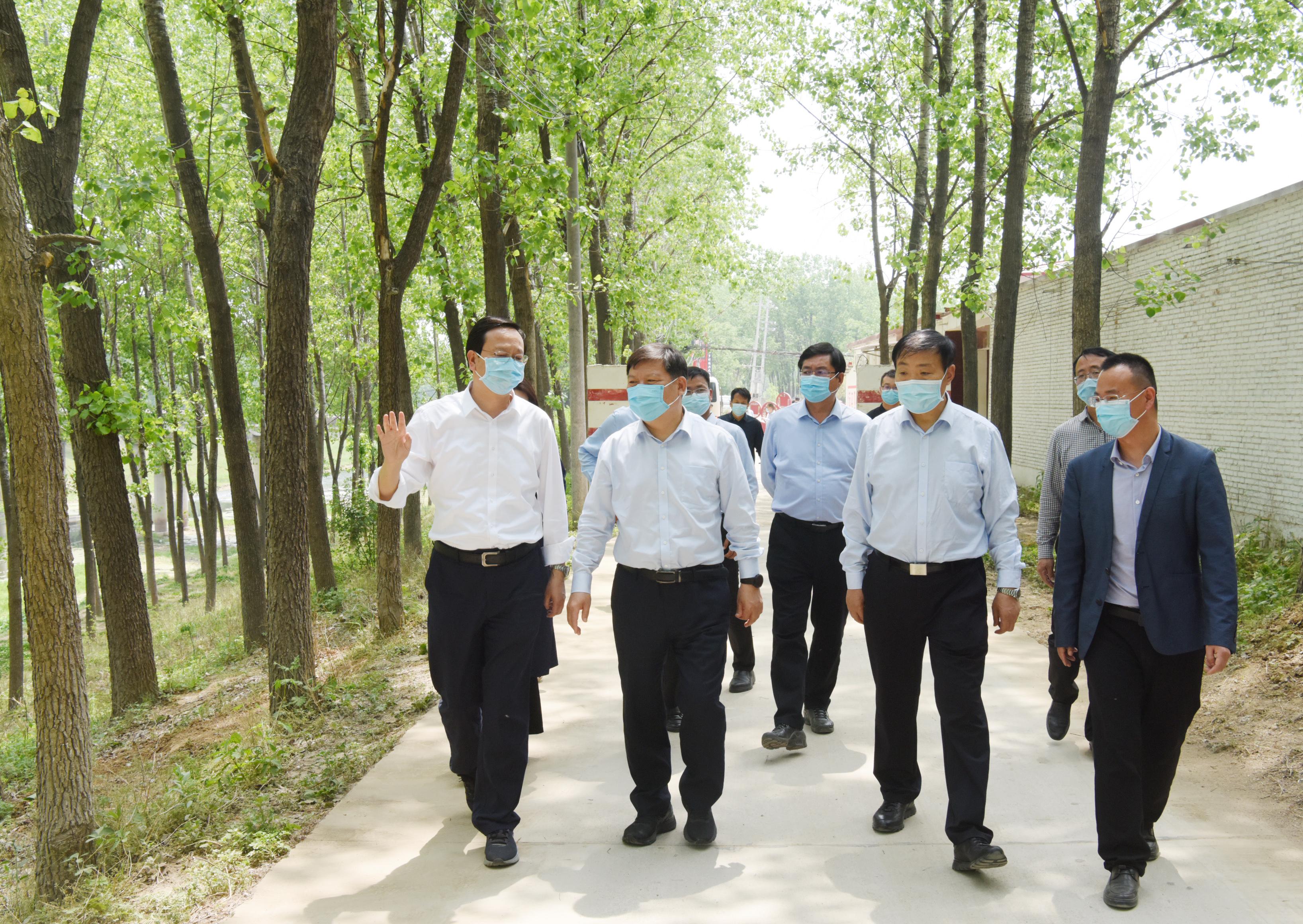 平舆县天气预报更新，暖阳下的友情时光
