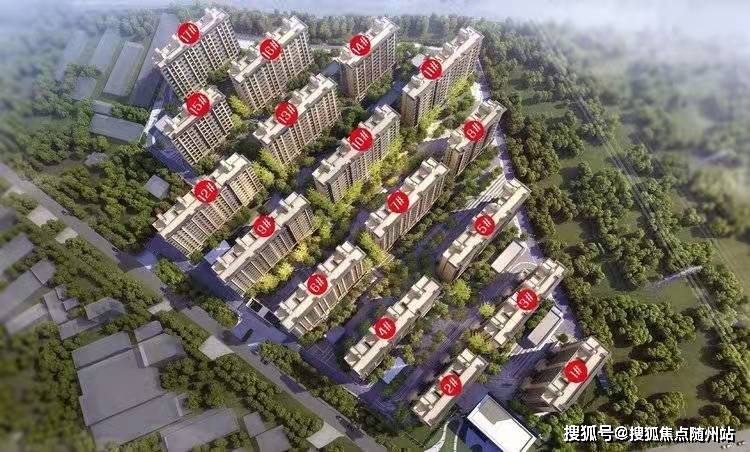 吴川新闻兰石最新消息全解析，获取指南助力初学者与进阶用户
