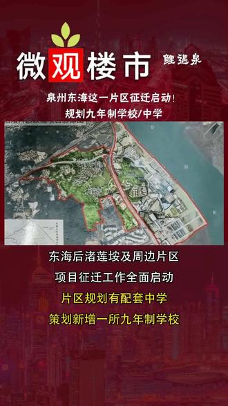 泉州城东片区最新动态，自然之旅的心灵觉醒