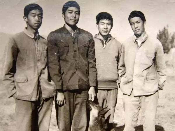 最新青年短发型图片男，潮流科技发型的展示与体验