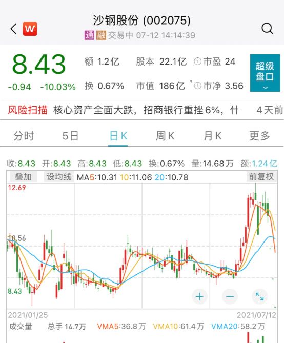 沙钢集团收购最新动态，小巷深处的隐藏瑰宝揭秘