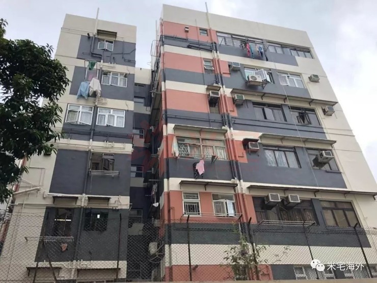 罗山九龙城最新房价概览指南