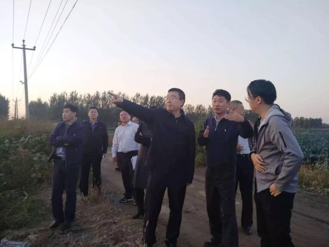 开平环城公路最新动态更新，最新消息一览