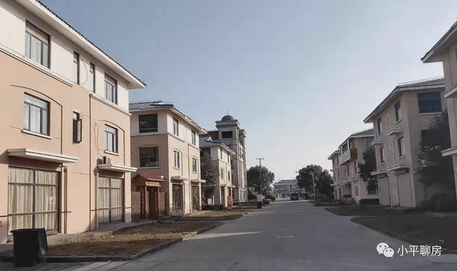 2025正鼎小镇最新动态与温馨日常