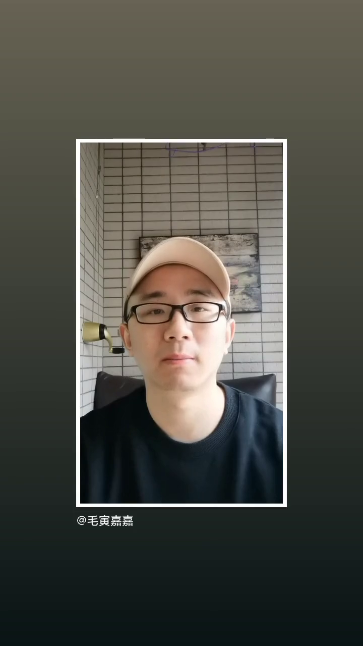 毛寅最新观点探析，一场深入的思考之旅