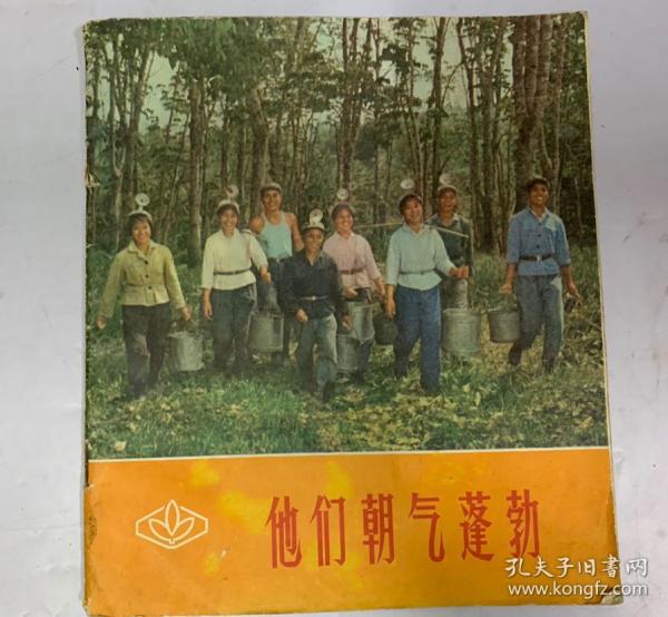 最新编潮剧，变化中的学习之旅，自信与成就的力量展现