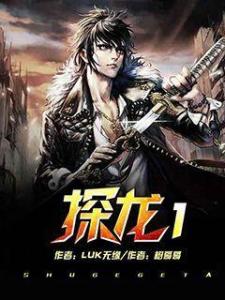 探龙最新动态，回溯历程，前瞻未来