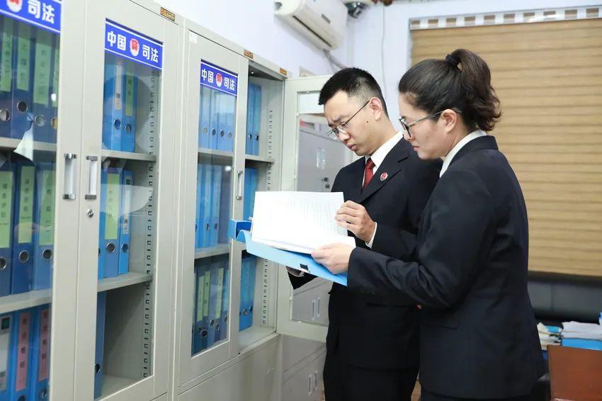 河南最新案情深度解析