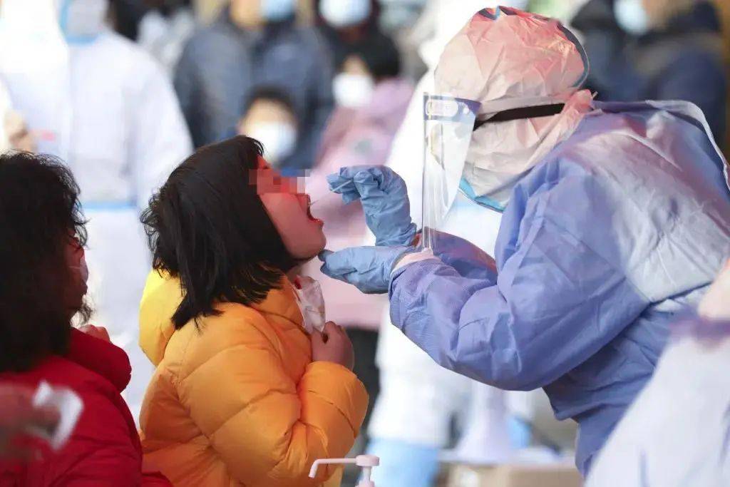 全球最新疫情动态分析报告