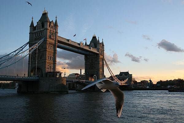 英国最新面积概览，全面解析英国国土规模
