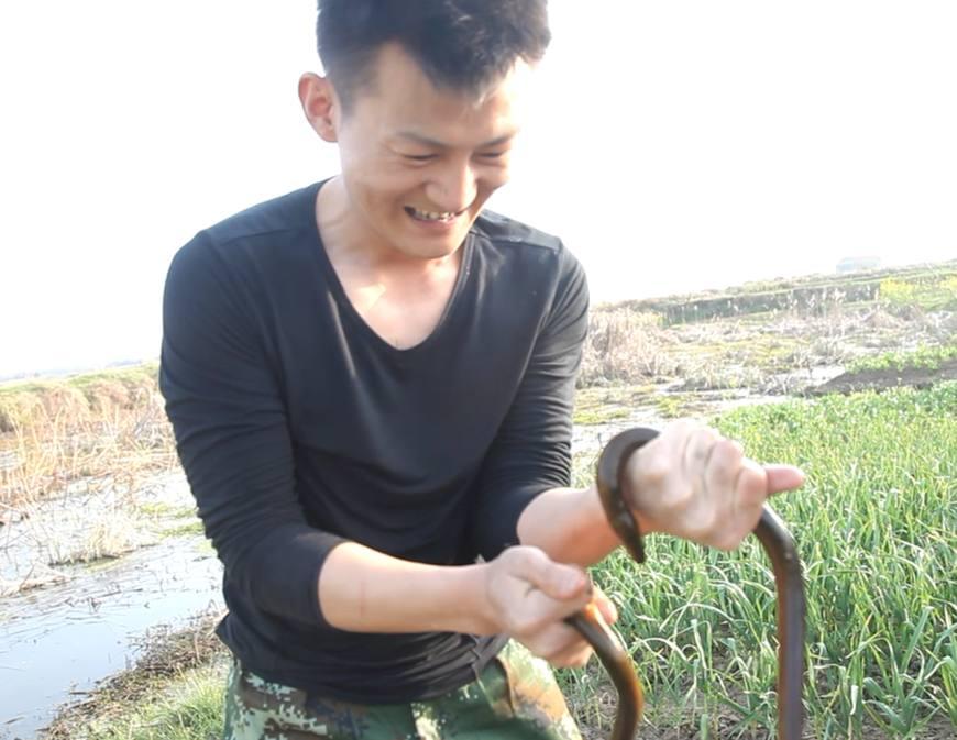 泥淖捉黄鳝，探寻最新捉黄鳝的乐趣时光