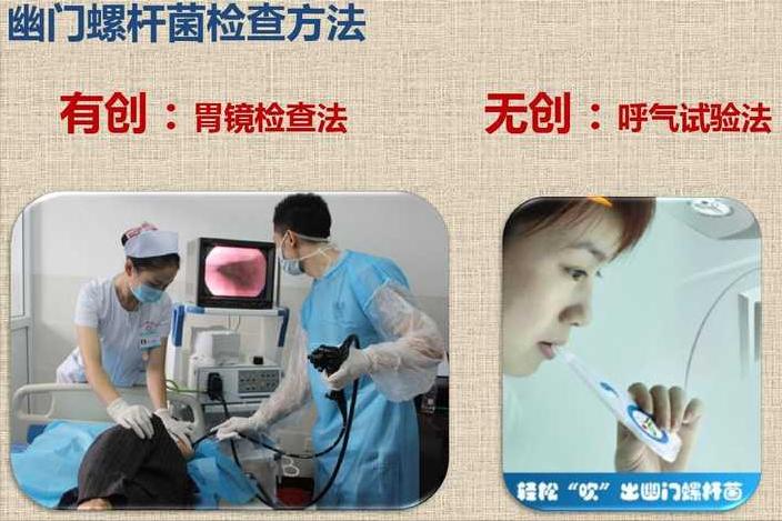 碳13最新，爱与陪伴的温馨日常