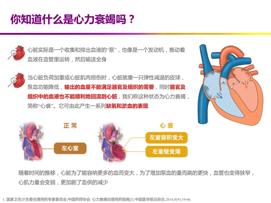 心衰最新福音，全面指南助你应对挑战