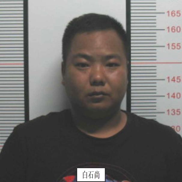 遂宁最新通告，引领科技新潮，塑造未来生活新体验