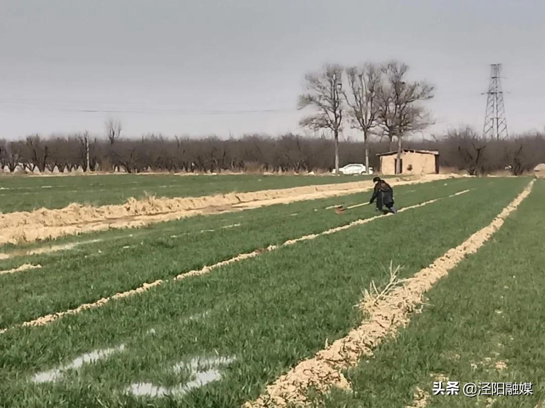 云阳疫情下的日常趣事与最新动态