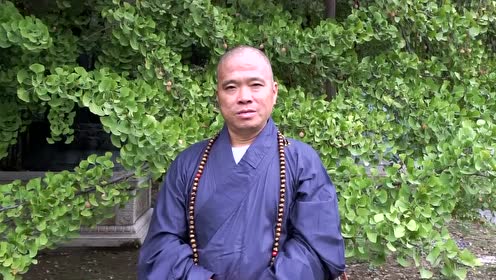 最新泰歌，音乐潮流的璀璨明珠闪耀登场！