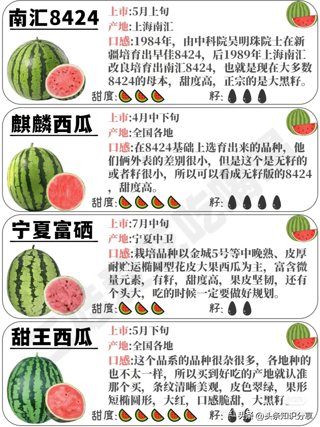小巷中的甜蜜秘密，最新国产西瓜探秘之旅