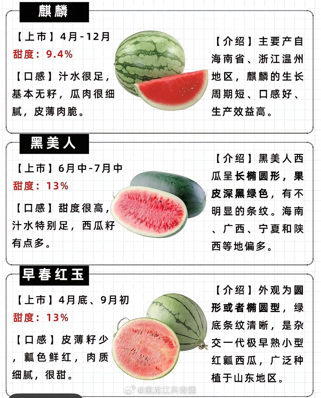 小巷中的甜蜜秘密，最新国产西瓜探秘之旅