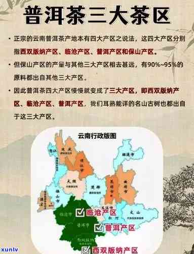 云南普洱选购指南，品鉴与冲泡技巧全攻略