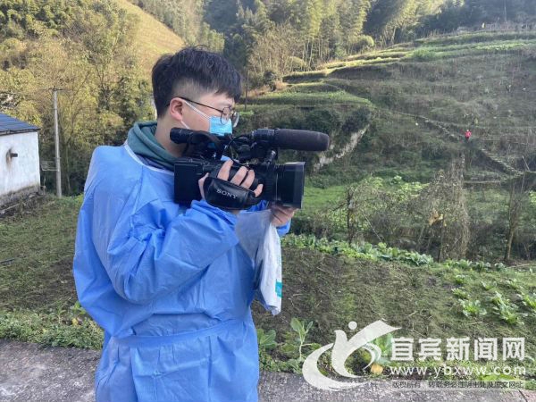 最新抗疫进展与心灵之旅，自然美景中寻找平静与乐观的力量